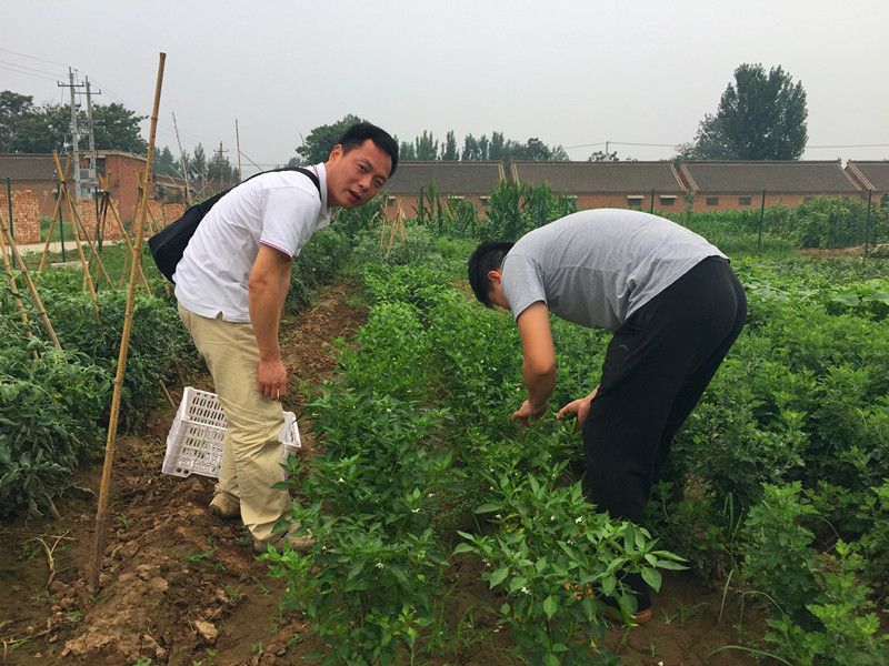 好利來(lái)郭總喊您來(lái)摘菜啦！綠色無(wú)公害，放心！